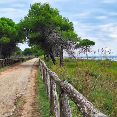 Beachfront Luminous Flat In Appartamento *
